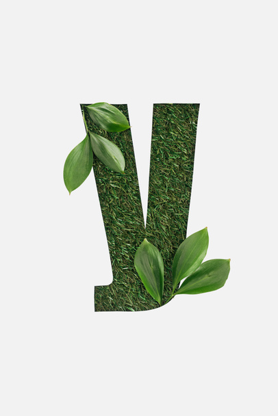 top view of cyrillic letter made of green grass with fresh leaves isolated on white - Foto, imagen