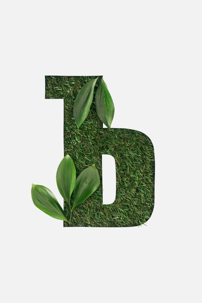 vista superior de la letra cirílica con hierba verde sobre fondo y hojas en esquinas aisladas sobre blanco
 - Foto, Imagen