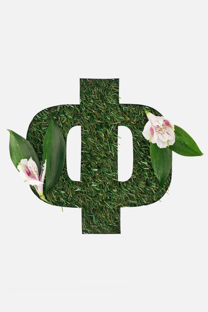 vue du dessus de lettre cyrillique avec gazon naturel sur le fond et fleurs Alstroemeria avec des feuilles vertes isolées sur blanc
 - Photo, image