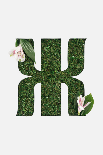 doğal çim ile Kiril harf üstten görünüm arka plan ve beyaz izole Alstroemeria çiçek - Fotoğraf, Görsel