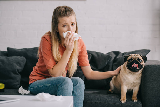 girl allergic to dog sneezing in tissue while sitting with adorable pug on sofa - Foto, imagen