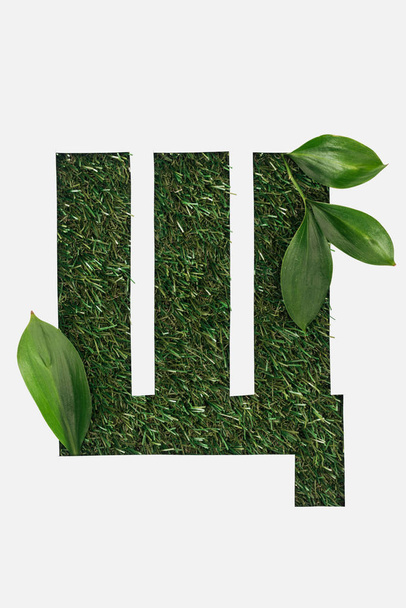 top view of cyrillic letter with green grass on background and green natural leaves isolated on white - Foto, afbeelding