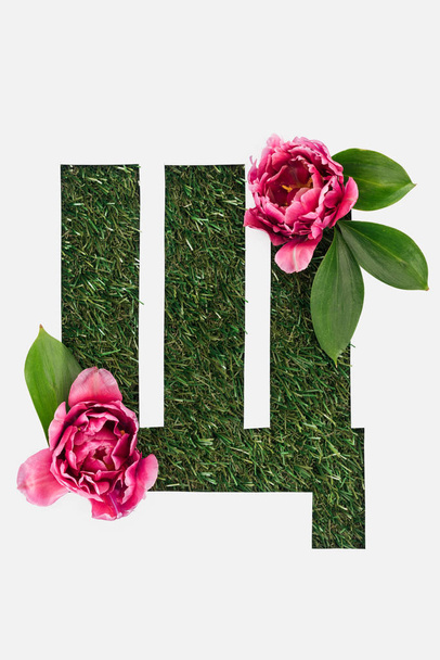 top view of cyrillic letter with natural grass on background and pink peonies isolated on white - Photo, image
