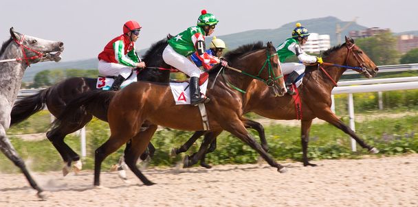 Corrida de cavalos no hipódromo de Pyatigorsk. - Foto, Imagem