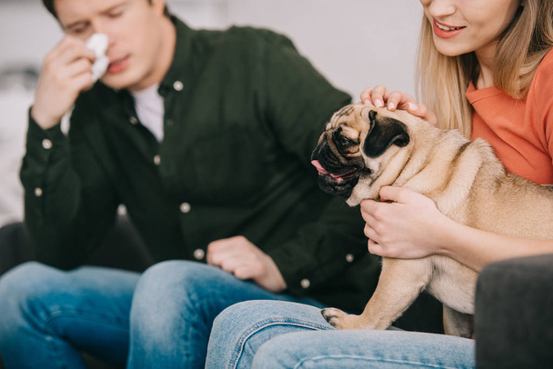 cropped view of woman with pug near sneezing man allergic to dog - Фото, изображение