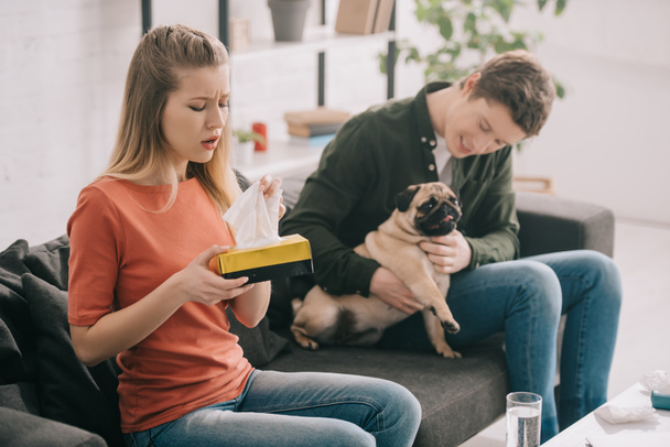 selective focus of blonde woman allergic to dog sneezing and holding tissue box near man with pug   - Foto, imagen