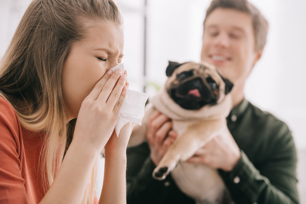 Niesende Frau allergisch auf Hund neben fröhlichem Mann mit Mops  - Foto, Bild