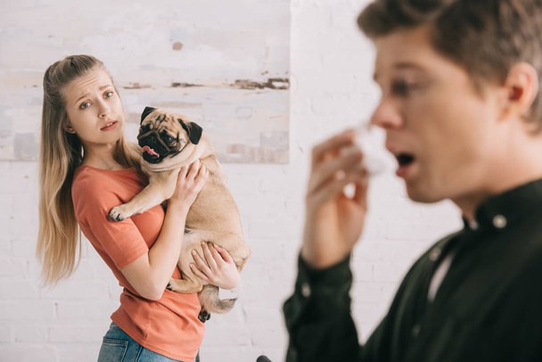 selective focus of attractive worried girl holding cute pug and looking at sneezing man allergic to dog - Foto, immagini