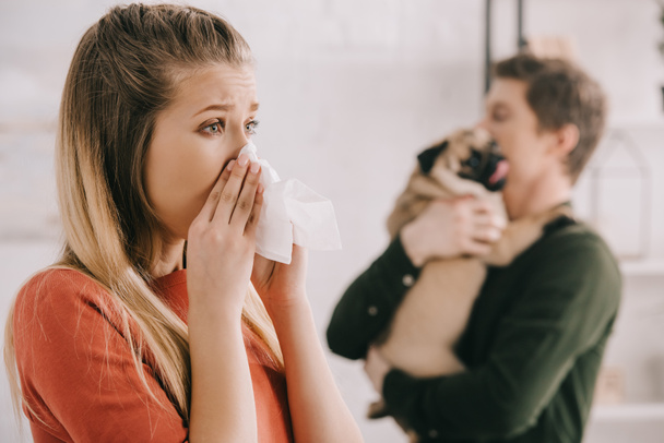 selective focus of blonde woman allergic to dog sneezing in white tissue near man holding pug   - Photo, Image