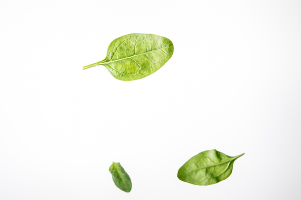 fresh green spinach leaves on grey background with copy space - Foto, afbeelding