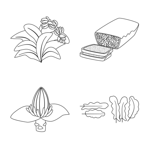 Vector design of organic and potassium logo. Set of organic and diet stock vector illustration. - Vettoriali, immagini