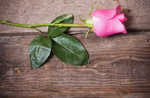 Roses on wooden backgroun - Photo, Image