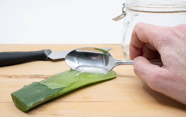 Scraping aloe vera from the plant with spoon - Photo, Image