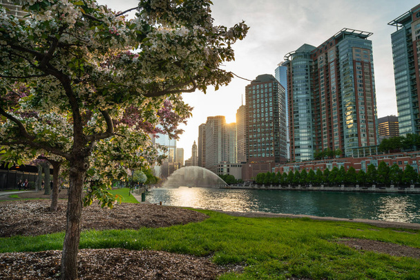 Frühling in Chicago mit schönem Blick auf die Innenstadt - Foto, Bild