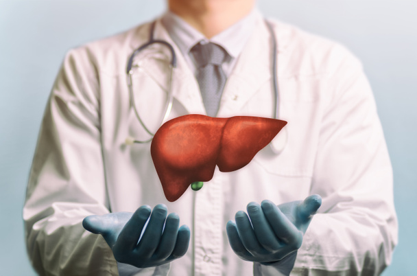 Image of a doctor in a white coat and liver above his hands. Concept of healthy liver and donation. - Foto, afbeelding