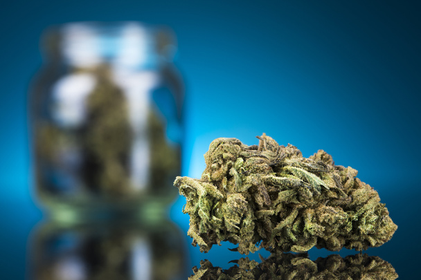 Cbd Concept, Medical Marijuana, cannabis and blue background - Photo, Image