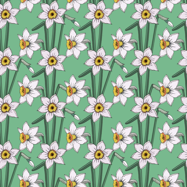Narcissus floral seamless background isolated on the light green - Vecteur, image