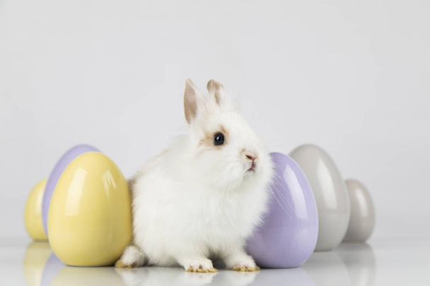 Little cute baby rabbit and easter eggs, white background - Foto, imagen
