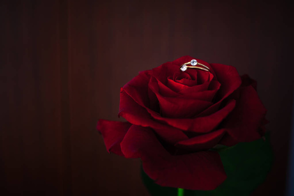 Vörös rózsa gyűrű az elmosódott háttér. - Fotó, kép