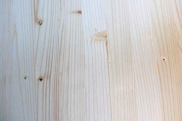 beautiful wooden tree background - Photo, image