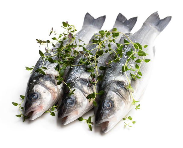 Fresh whole sea bass fish with thyme herb isolated on a white  - Photo, Image