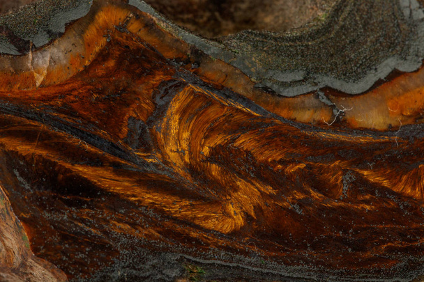 マクロ石虎目の黒い背景に岩中の鉱物  - 写真・画像