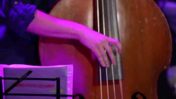 Music Book Man Play Double Bass - Footage, Video