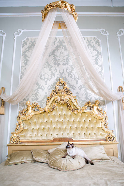 Le thème est le luxe et la richesse. Jeune chat sans queue pur-sang Mecogon bobtail repose sur un grand lit sur un oreiller dans un intérieur baroque Renaissance en France Europe Versailles Palace
 - Photo, image