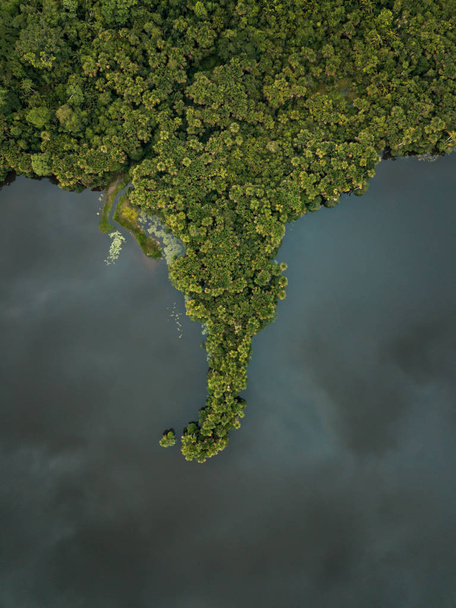 drone tiro de selva antes da chuva
 - Foto, Imagem
