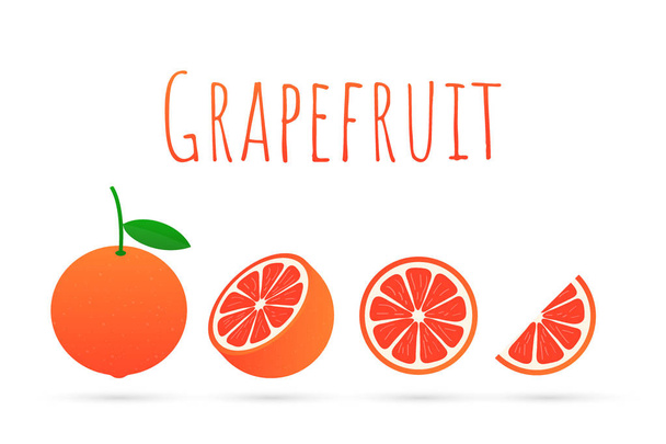 Grapefruit. Een hele grapefruit en een snee. Vectorillustratie. - Vector, afbeelding