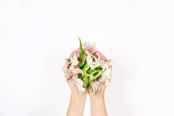 Hands of a girl with flowers on a light gray background. View from above. Flowers background - 写真・画像