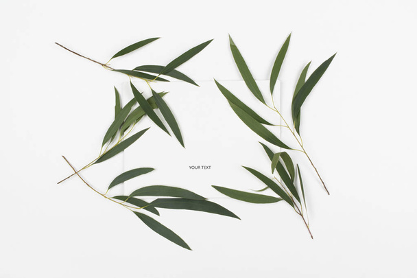 Green leaves of plants with place for text. Minimalist floral background. - Photo, image