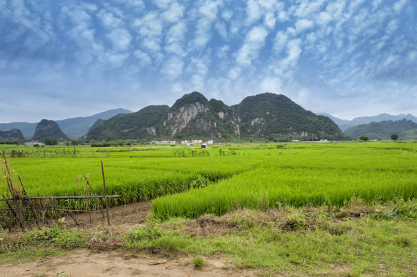 Krajobraz w Yangshuo Guilin, Chiny - Zdjęcie, obraz