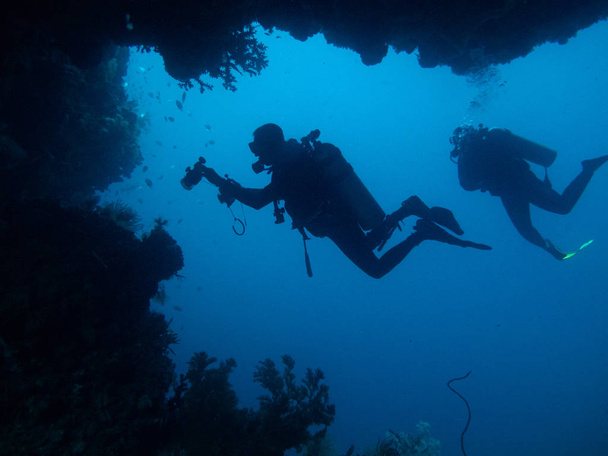Dois mergulhadores são silhuetas através de caverna e coral
 - Foto, Imagem
