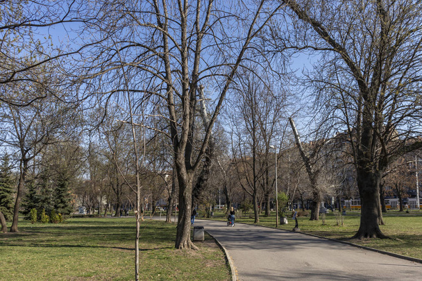 SOFIA, BULGARIA - MARCH 27, 2019: Spring Landscape with Trees and gardens at Park Zaimov in city of Sofia, Bulgaria - Φωτογραφία, εικόνα