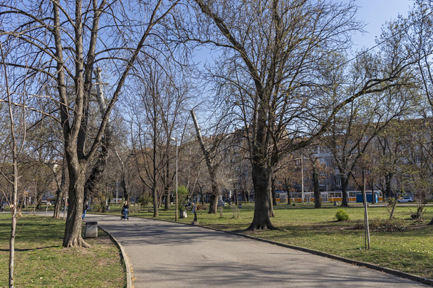 SOFIA, BULGARIA - MARCH 27, 2019: Spring Landscape with Trees and gardens at Park Zaimov in city of Sofia, Bulgaria - Photo, Image