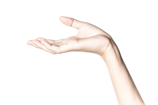 Крупним планом красива рука ізольована на білому тлі з відсічним контуром
. - Фото, зображення