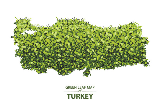 Hoja verde mapa del vector de pavo ilustración de un bosque es conc
 - Vector, Imagen