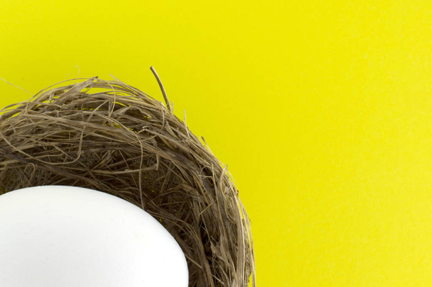White eggs in bird nest , Easter holiday decorations , Easter concept background. Eggs hunt. - Zdjęcie, obraz