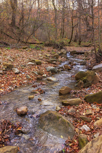 River mountain autumn wild tourism treck. - Foto, afbeelding