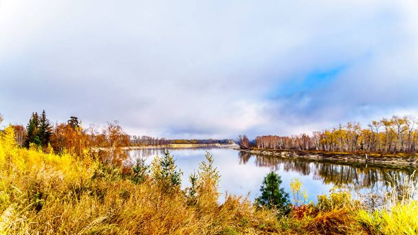 Herbstfarben rund um den North Thompson River zwischen Barriere und klarem Wasser, Britisch Columbia, Kanada - Foto, Bild