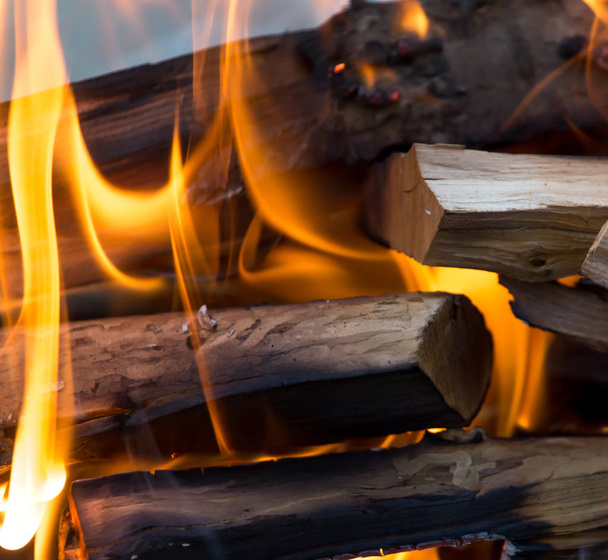 flames of fire from wood - Foto, imagen