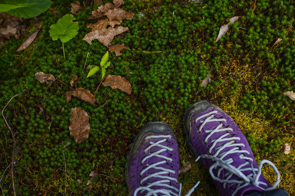 Violet trekking schoenen op de natuur. Nepal - Foto, afbeelding