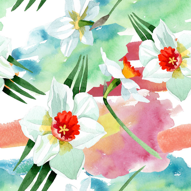 Witte NARCIS floral botanische bloem. Aquarel achtergrond afbeelding instellen. Naadloze achtergrondpatroon. - Foto, afbeelding