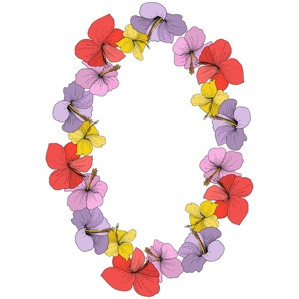 Vector Hibiscus flores tropicales florales. Tinta grabada sobre fondo blanco. Marco borde ornamento cuadrado
. - Vector, imagen