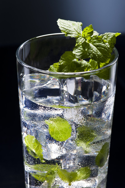 Green Mojito cocktail - Photo, Image