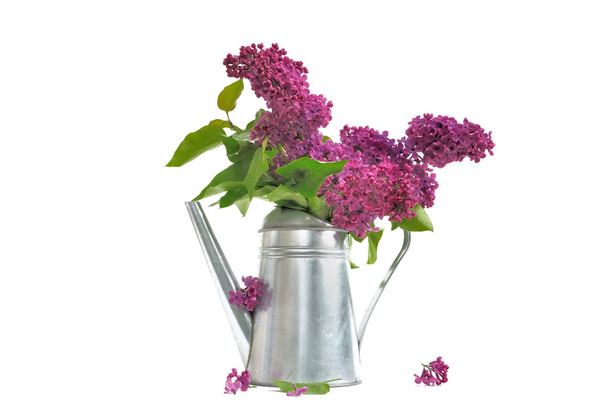 Buquê de Lilac
 - Foto, Imagem