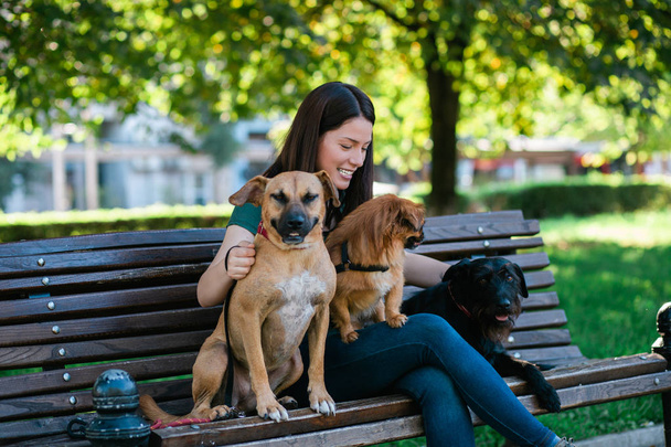 Köpek yürüteç bankta oturan ve köpeklerle parkta zevk.  - Fotoğraf, Görsel