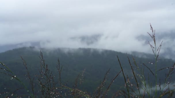Mist beweegt langzaam door berg - Video