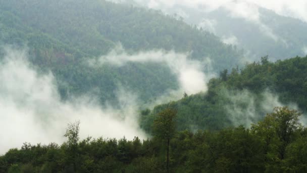 Fog slowly moves by mountain - Кадри, відео